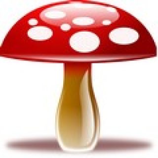 jeu de memoire champignon pour enfant memory game image numéro 3