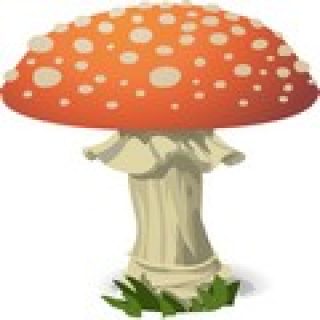 jeu de memoire champignon pour enfant memory game image numéro 9
