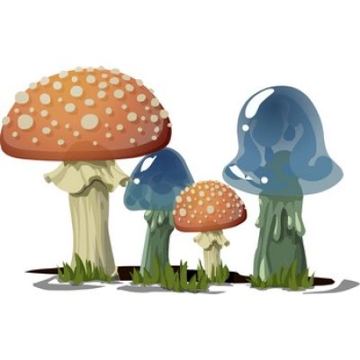 jeu de memoire champignon pour enfant memory game